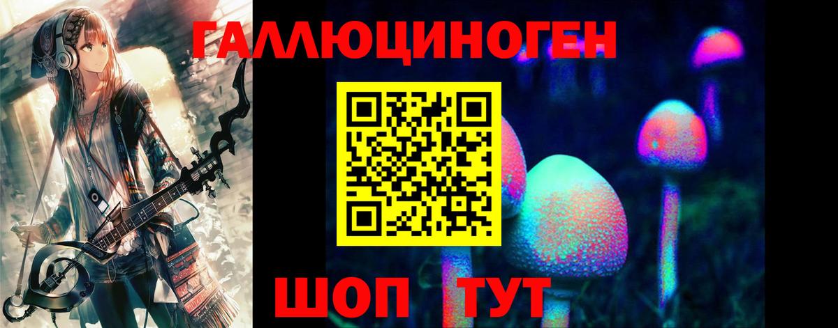 Псилоцибиновые грибы GOLDEN TEACHER Гусев