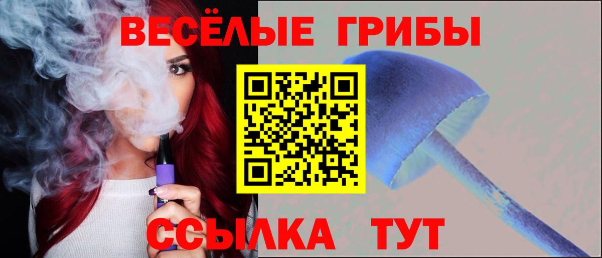 Гусев  Псилоцибиновые грибы Magic Shrooms  Вход с VPN 