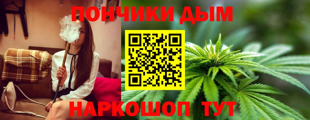 Марихуана SATIVA & INDICA Гусев
